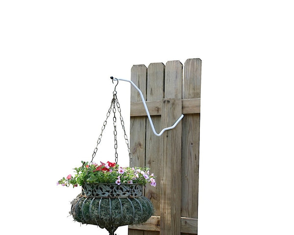 The Timmynoggy Bent Timmynoggy Bent