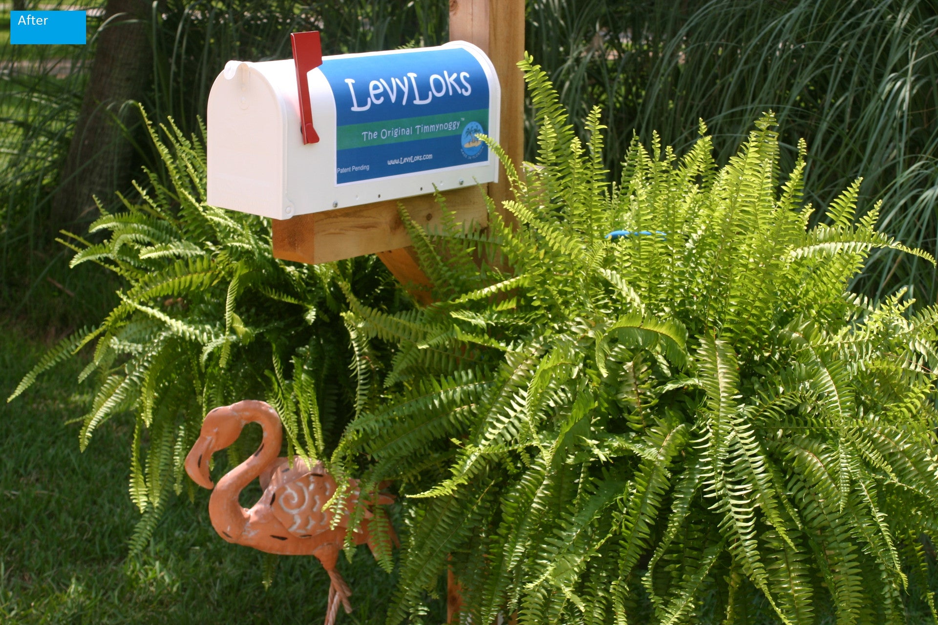 FREE SHIPPING ON ORDERS OVER $75