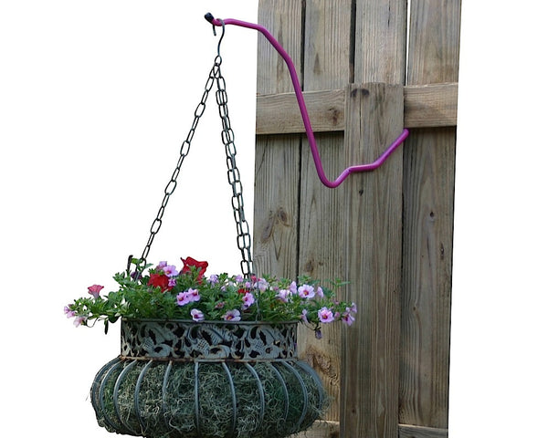 Lifestyle - Hot Flamingo